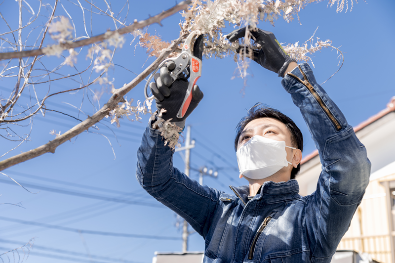 s--_DSC0491